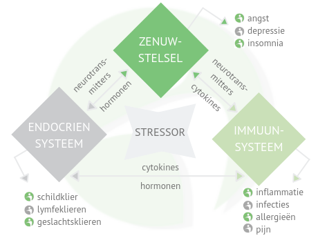 orthomoleculaire therapie